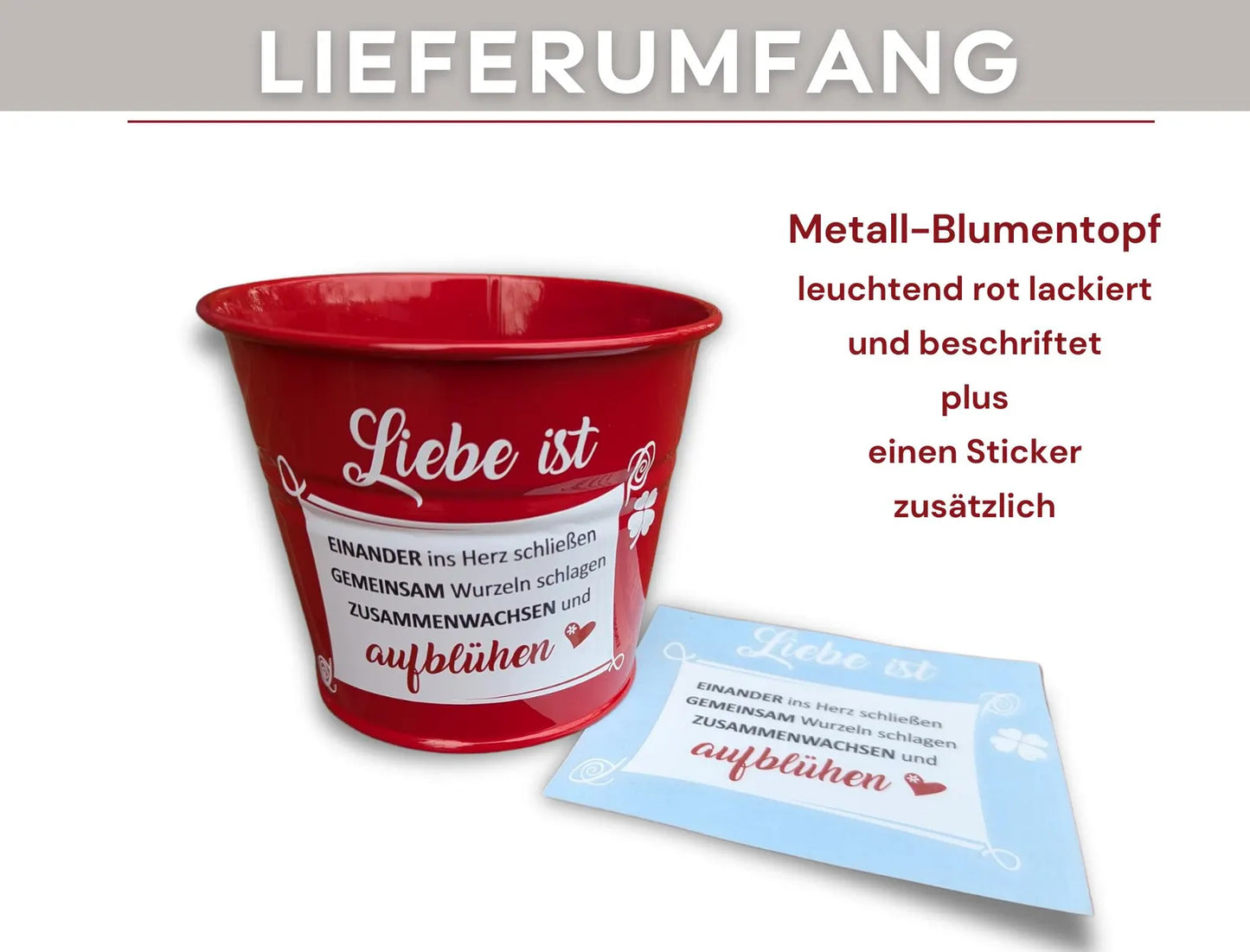 Geldgeschenk Hochzeit Blumentopf