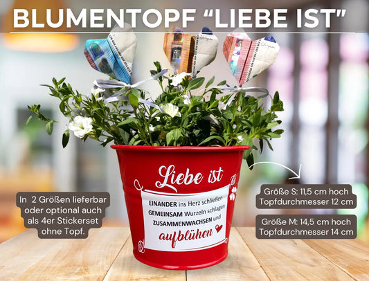 Geldgeschenk Hochzeit Blumentopf
