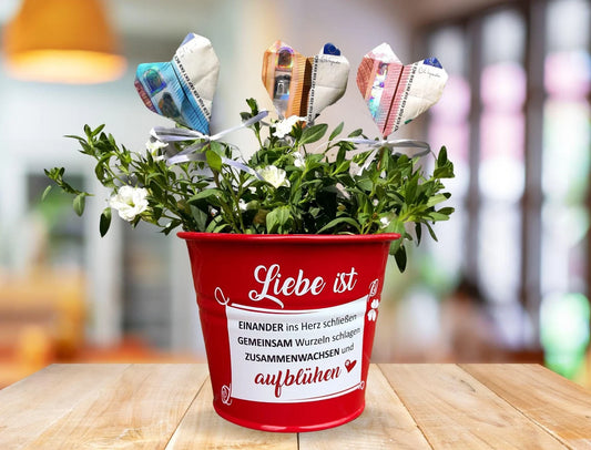 Geldgeschenk Hochzeit Blumentopf
